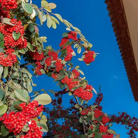 Tu Casa En Barcelona Holiday home Sant Cugat del Valles